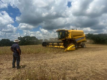 Prefeita em Exercício e Secretário da Agricultura Acompanham Abertura da Colheita da Soja em Ibirapu