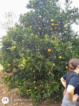 Alunos da EMEF Antão Chaves vivenciam a importância da alimentação saudável