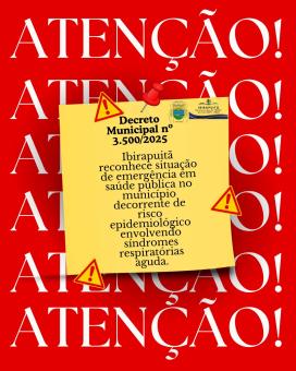 IBIRAPUITÃ RECONHECE SITUAÇÃO DE EMERGÊNCIA EM SAÚDE PÚBLICA