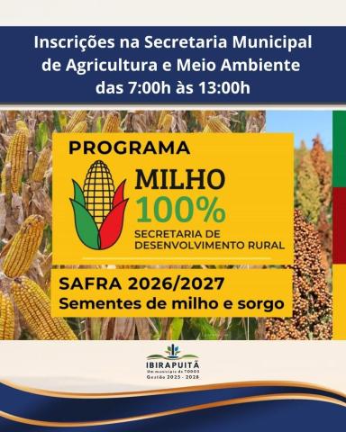 PROGRAMA MILHO 100%